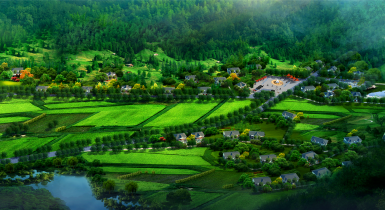 一品小院鄉村美墅-美宅圖片